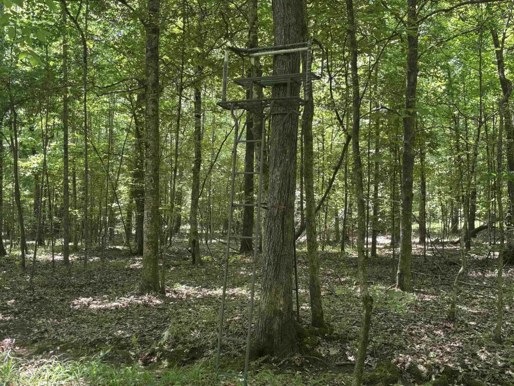 Picture 9