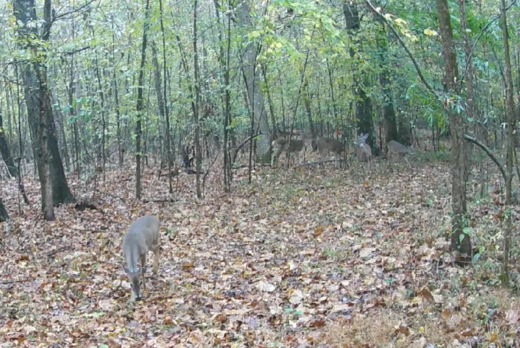 Picture 20