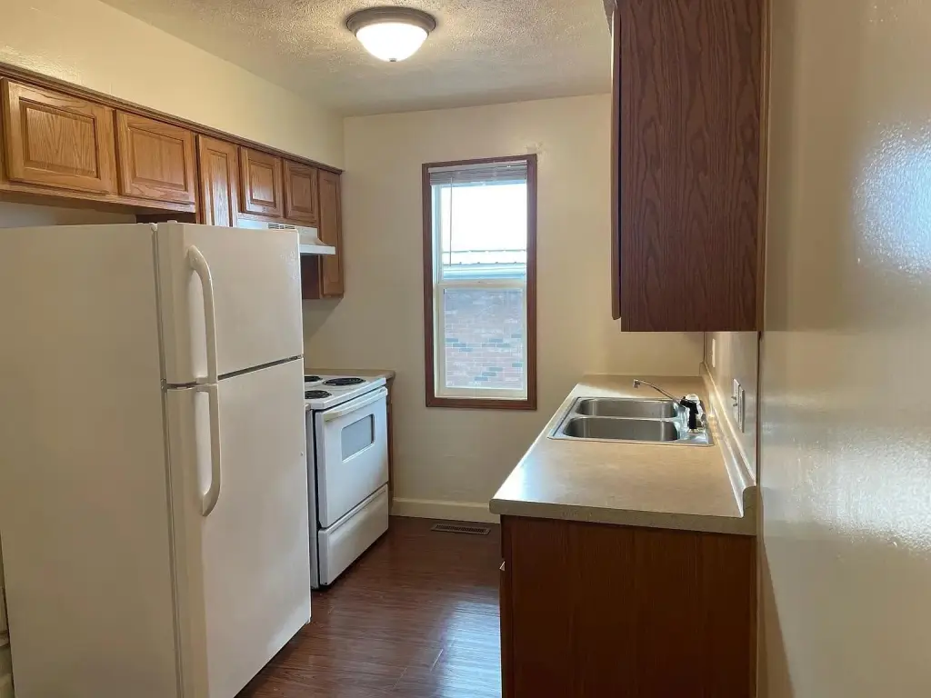 Picture 25