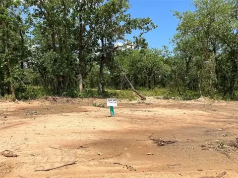 Tolar, TX Treed Land Lot
