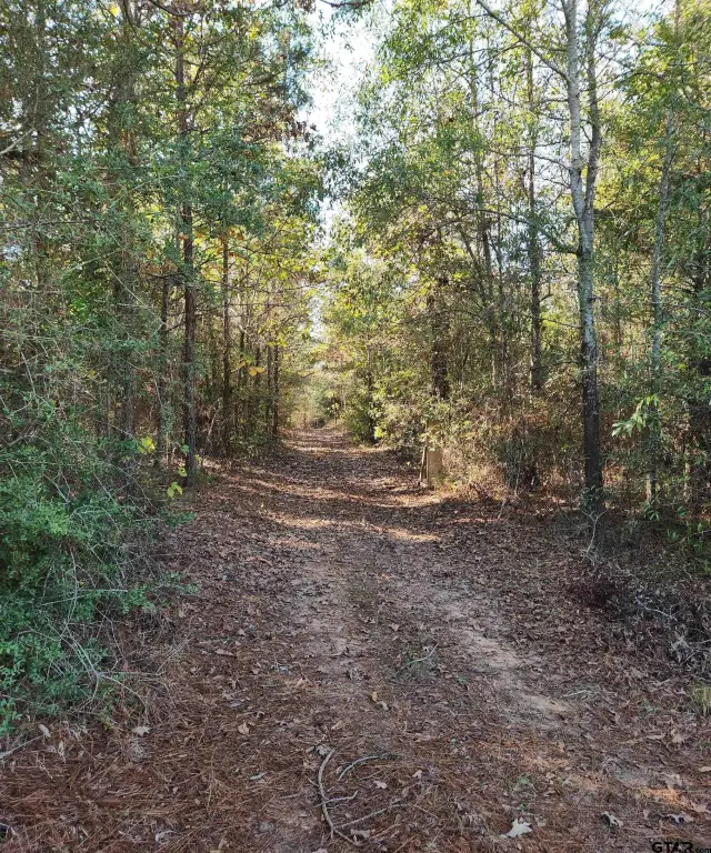 Picture 16