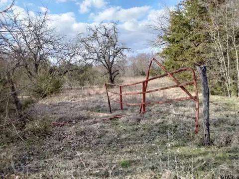 Unrestricted Acreage Near Detroit, Texas