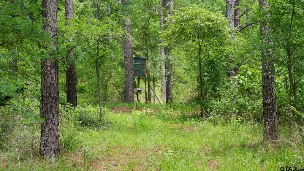 Picture 11