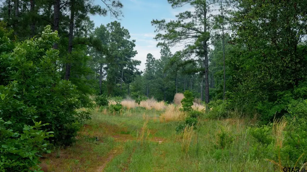 Picture 25
