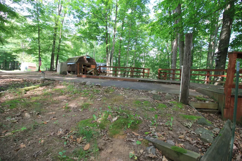Picture 18