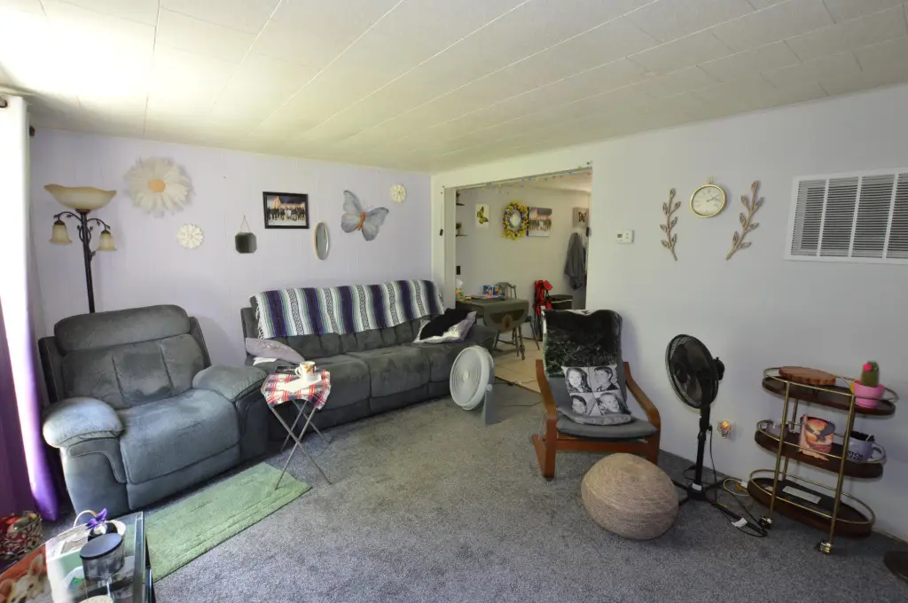 Picture 15