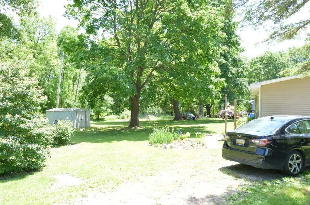 Picture 24