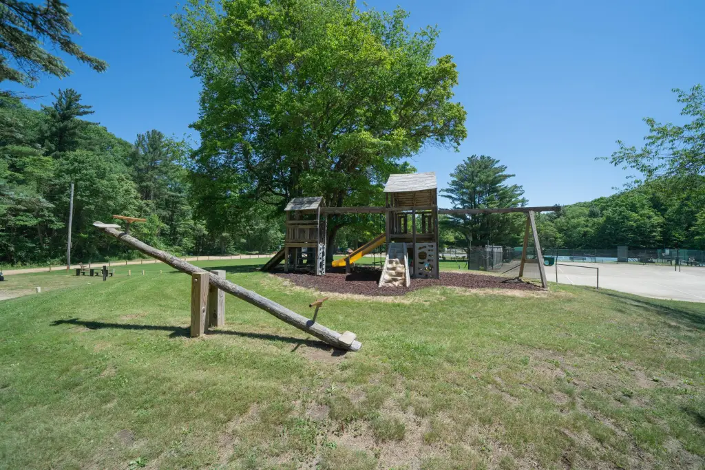 Picture 16