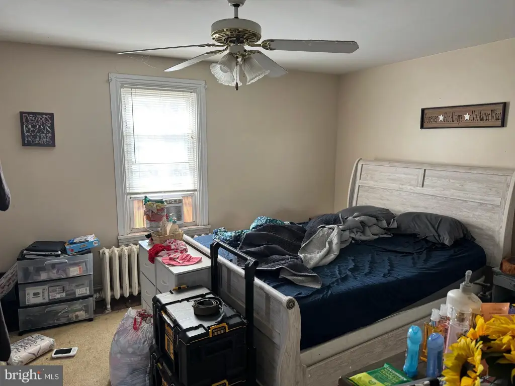 Picture 15