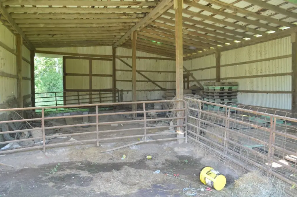 Picture 5