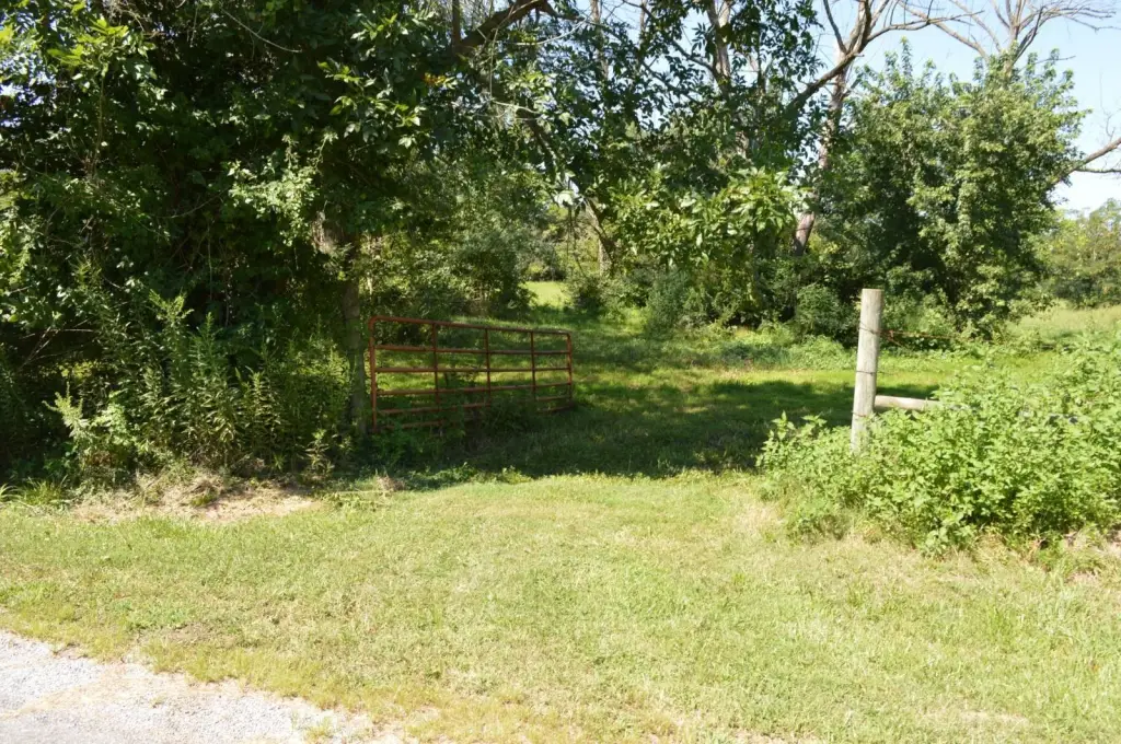 Picture 9