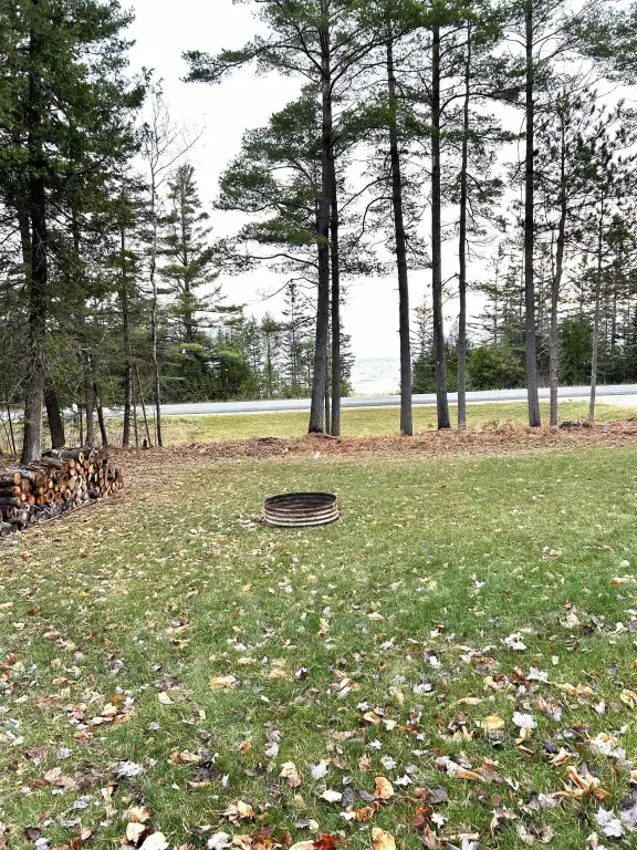 Picture 4