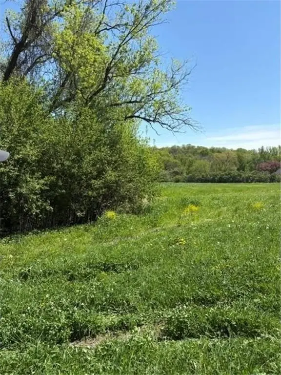 Picture 8