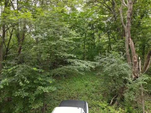 5.5 Acre Wooded Lot