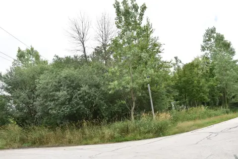 Residential Land in Willow Springs