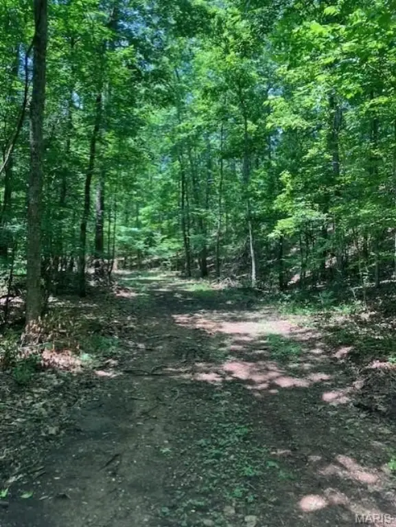 Picture 3