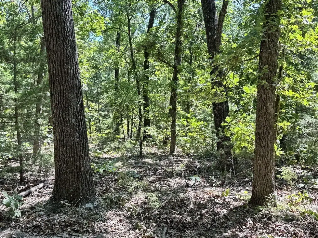 Picture 22