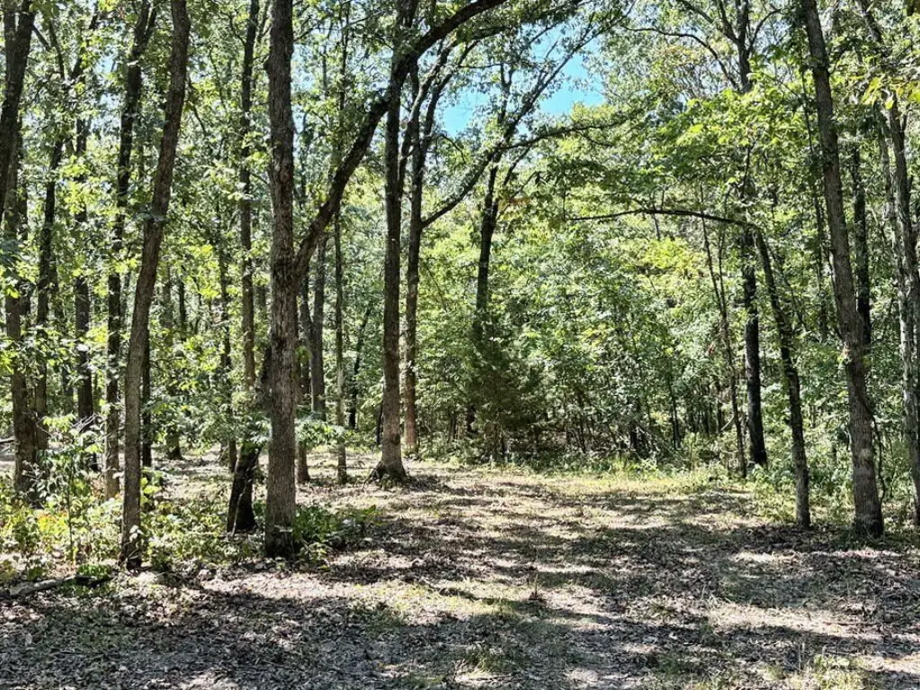 Picture 6