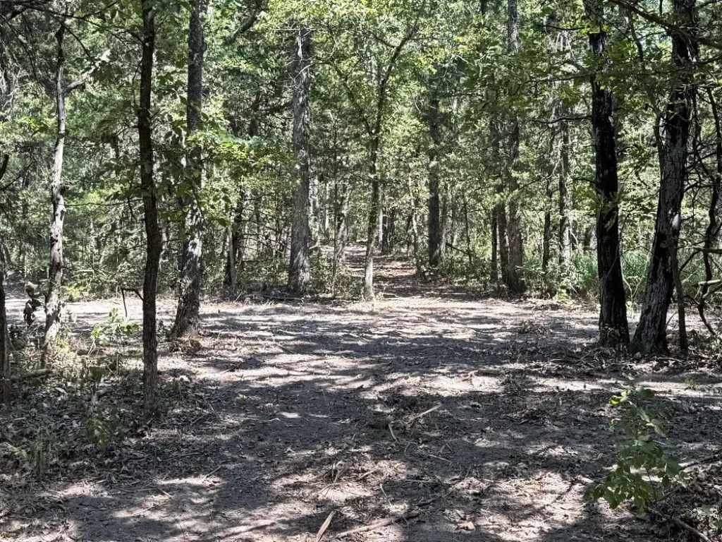 Picture 17
