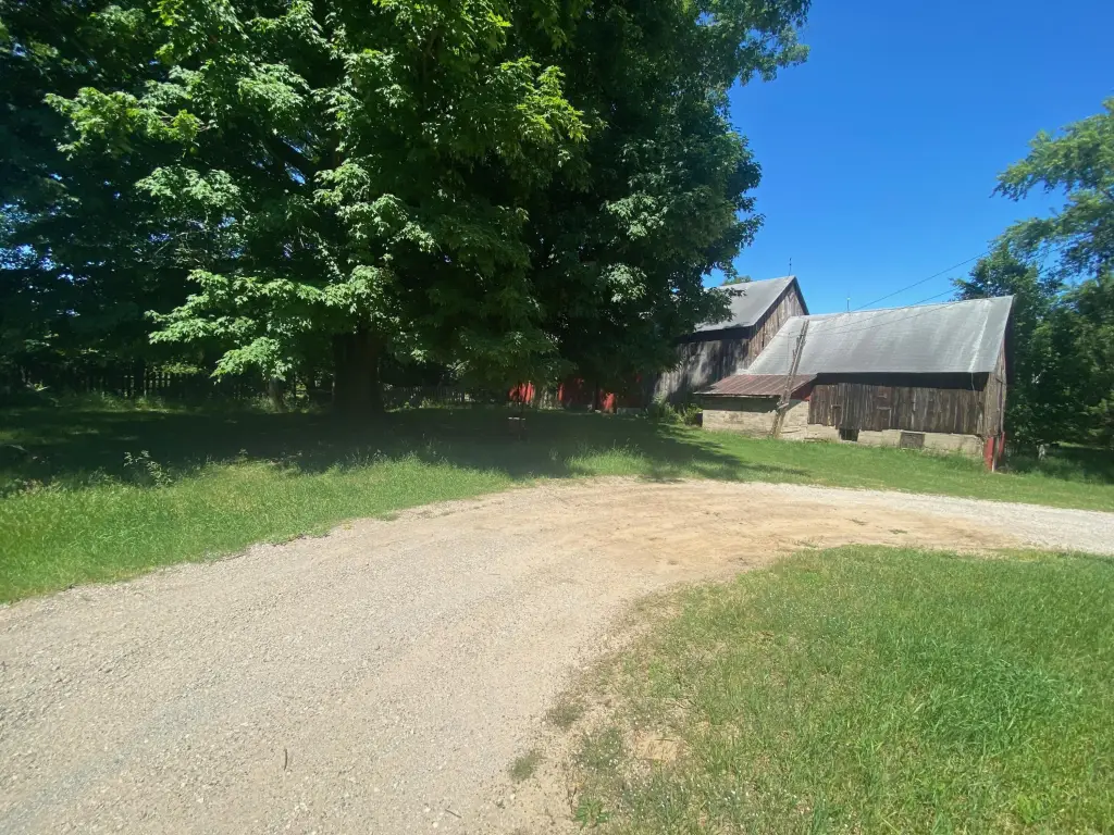 Picture 20