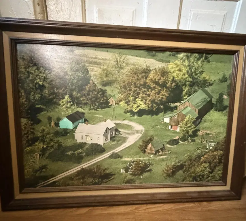 Picture 21
