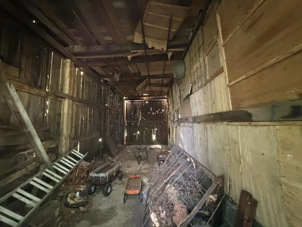 Picture 26