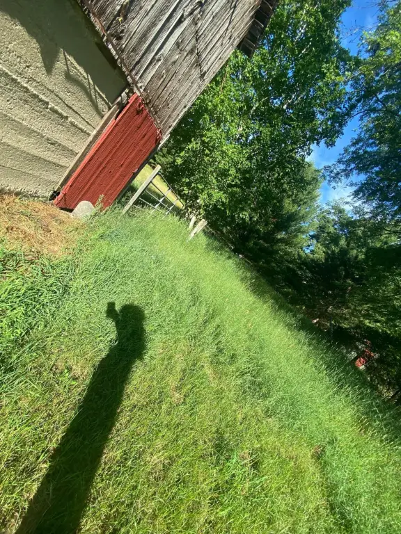 Picture 19