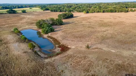Expansive Land on FM 344