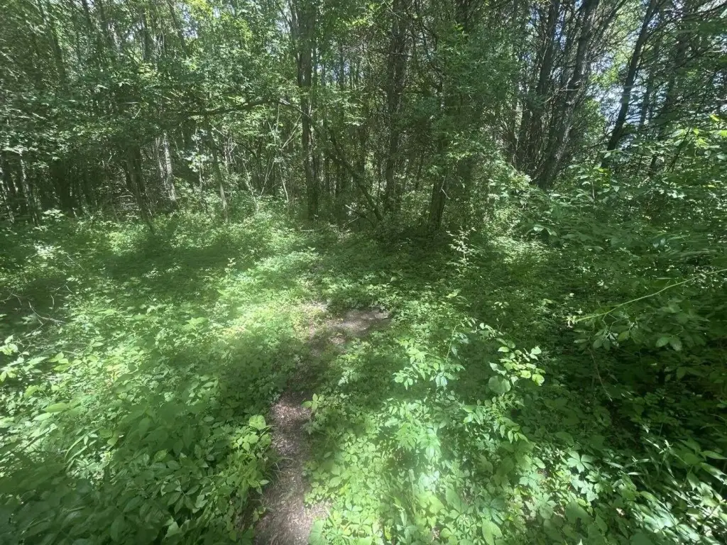 Picture 6