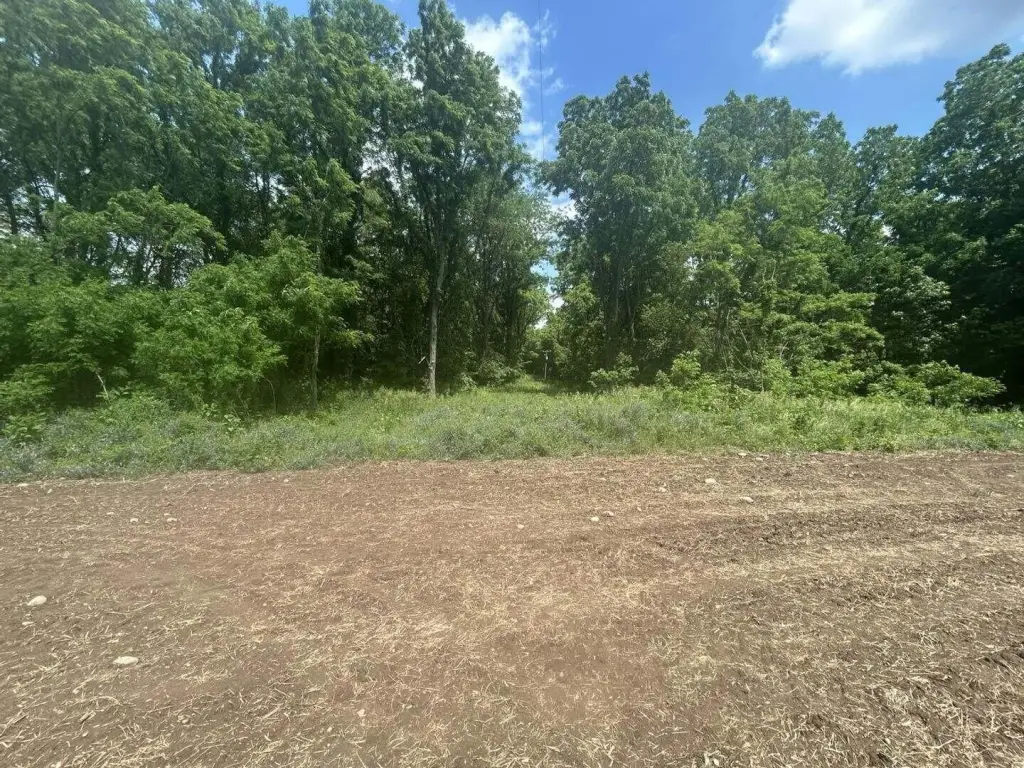 Picture 2