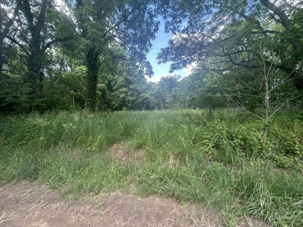 Picture 14