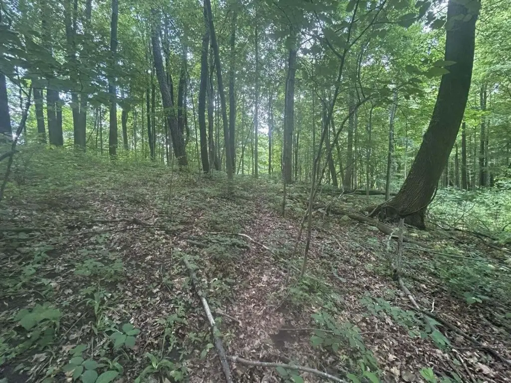 Picture 4