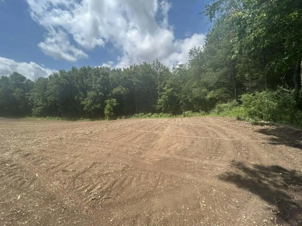 Picture 17