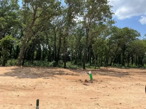 Tolar, TX Treed Land Lot