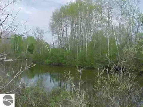 Waterfront Land With River Frontage