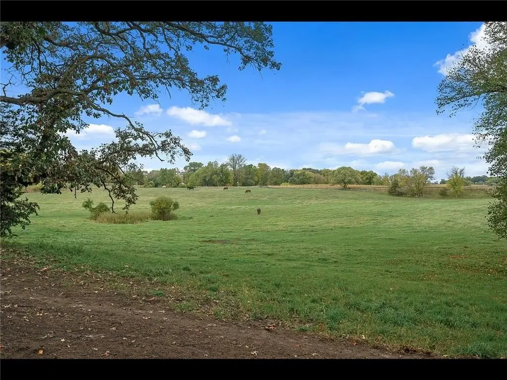 Picture 7