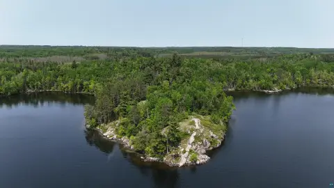 Undeveloped Land with Lake Shoreline