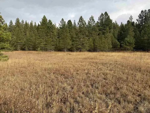 Two Acre Parcel in McCall