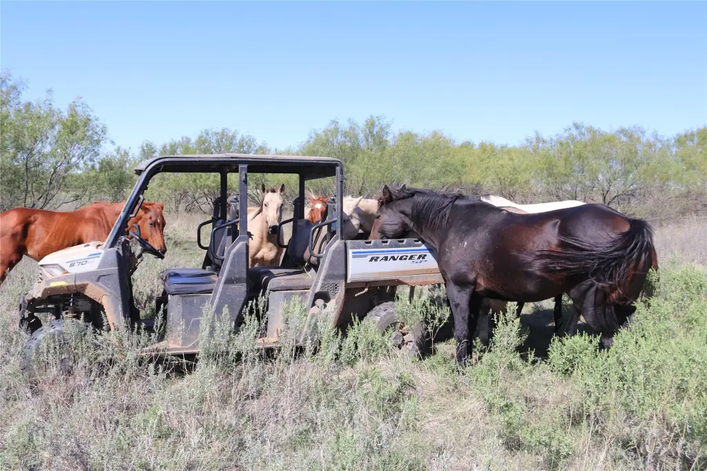 Picture 28