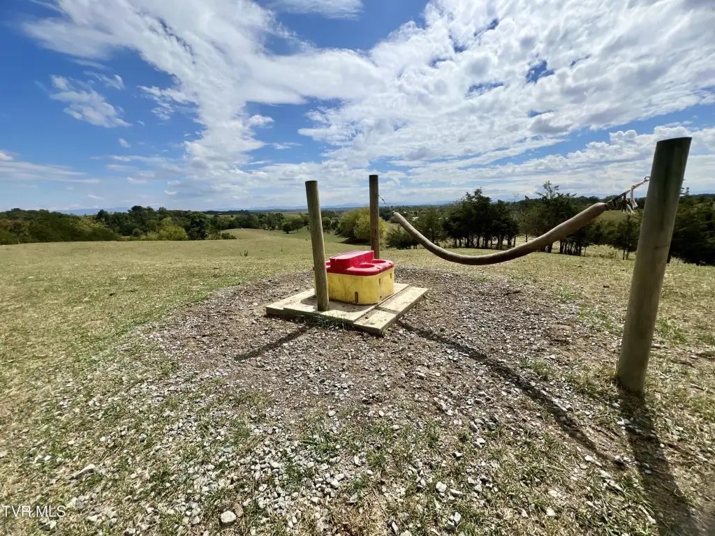 Picture 46