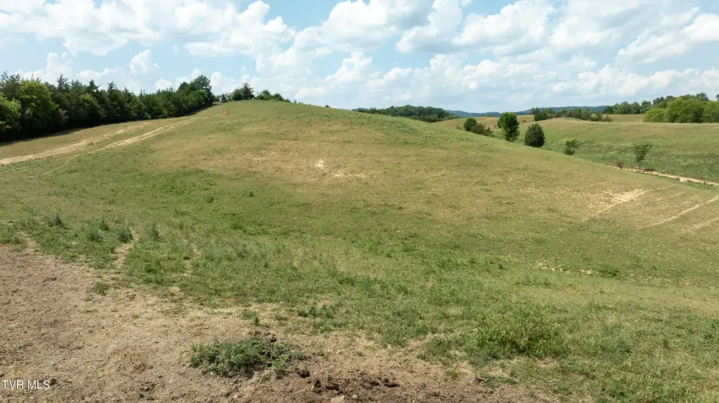 Picture 53