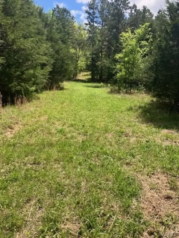 Picture 3