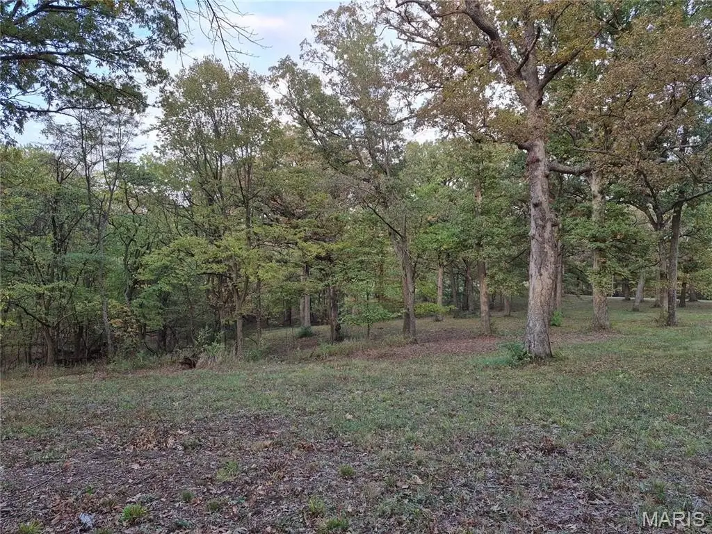 Picture 15