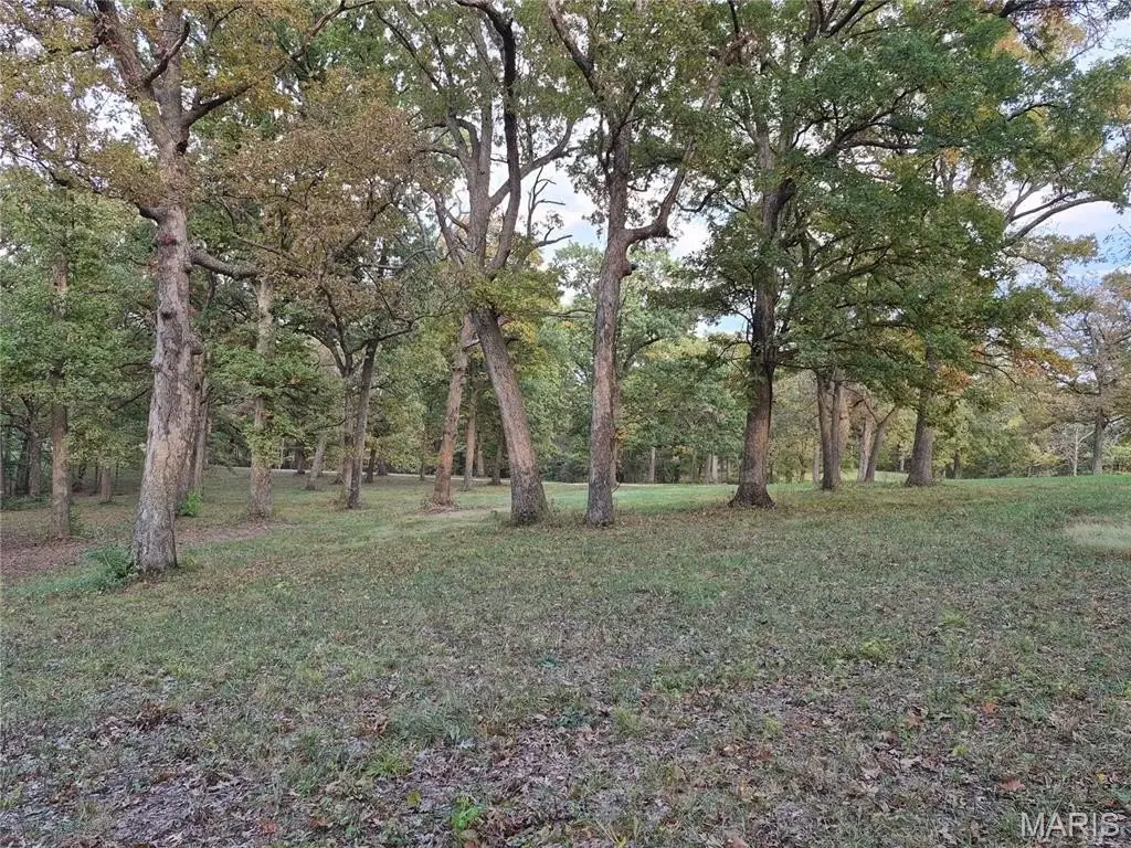 Picture 17