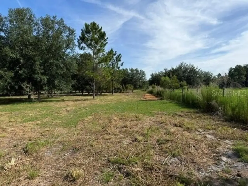 Picture 7