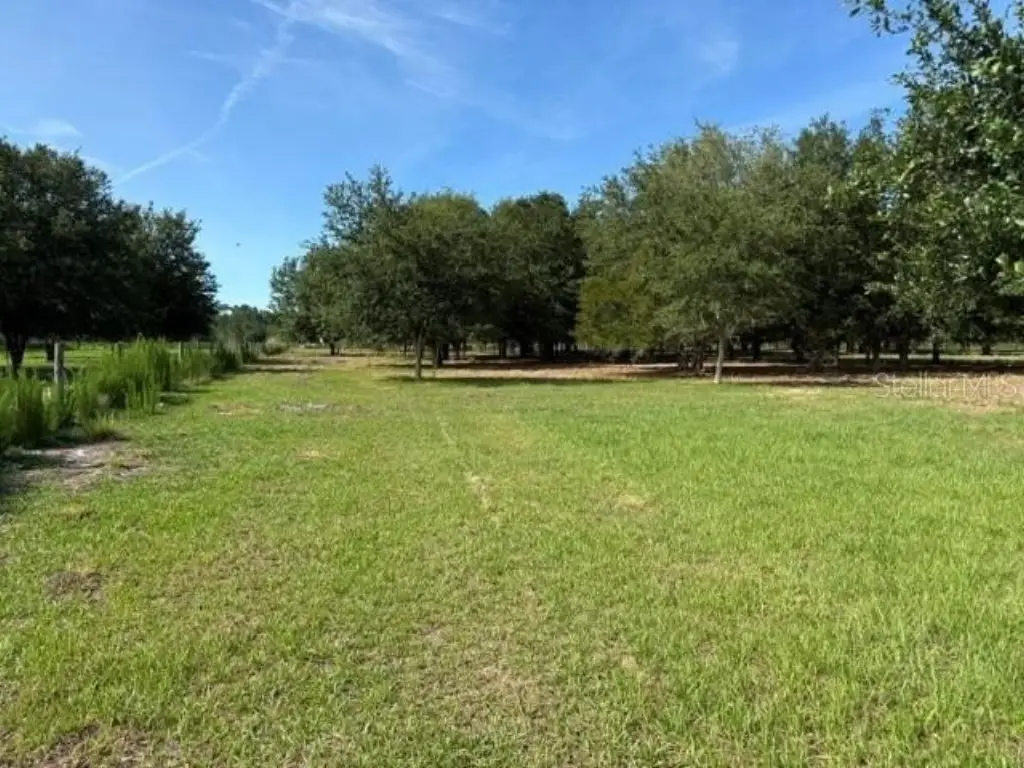 Picture 4