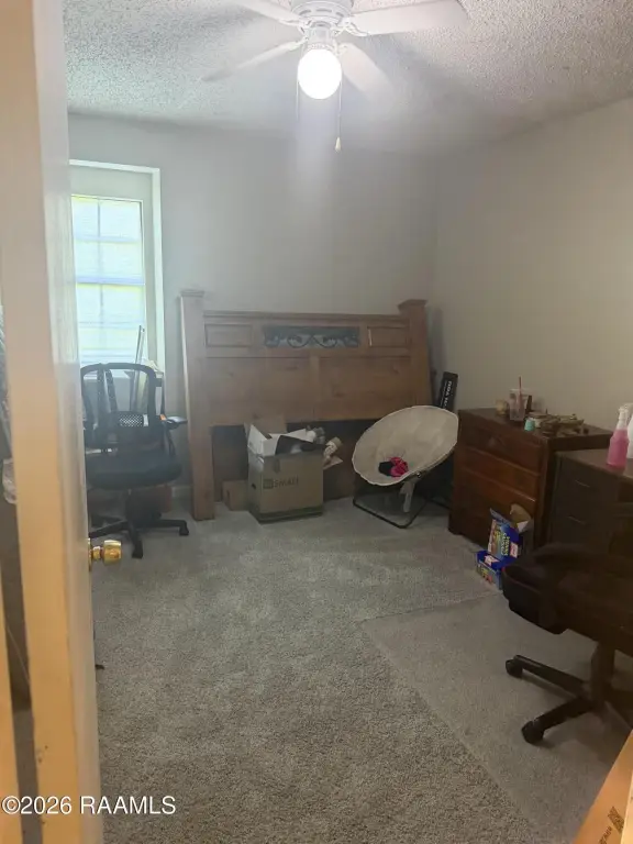 Picture 22
