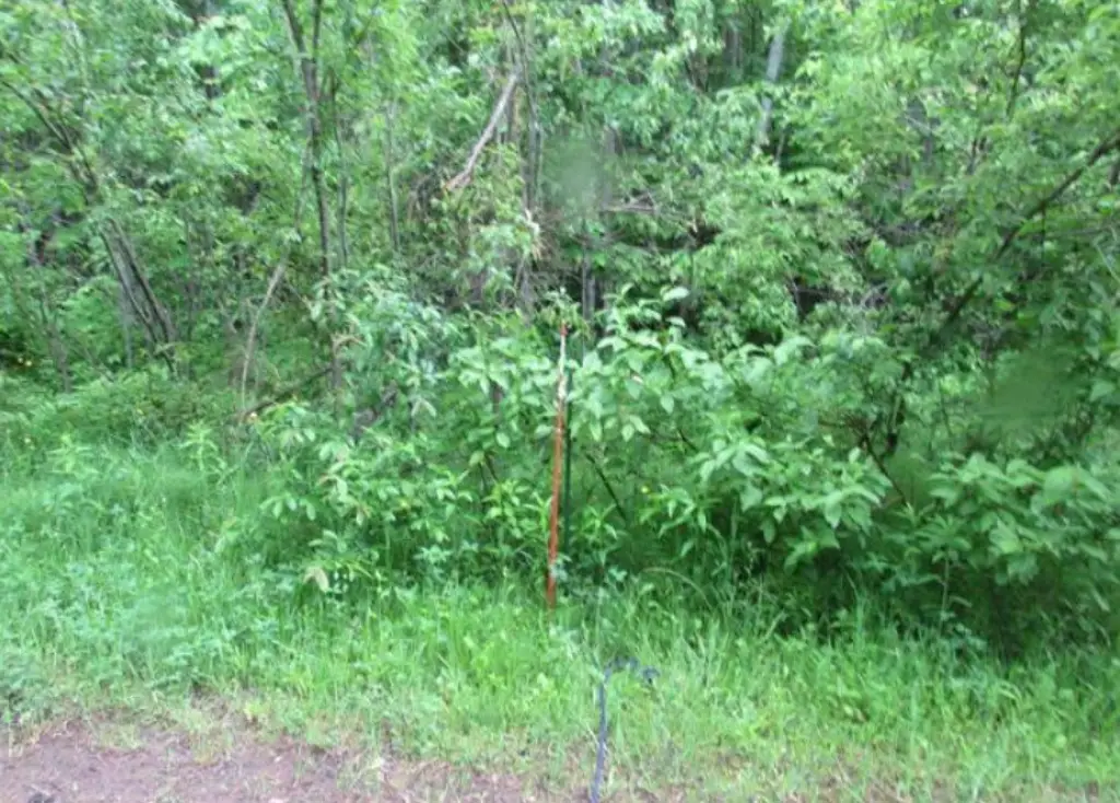 Picture 8