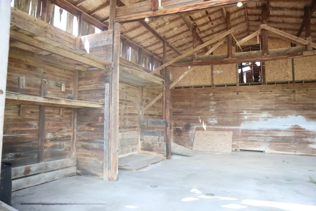 Picture 15