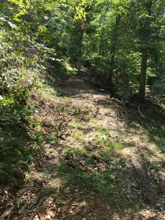 Picture 21